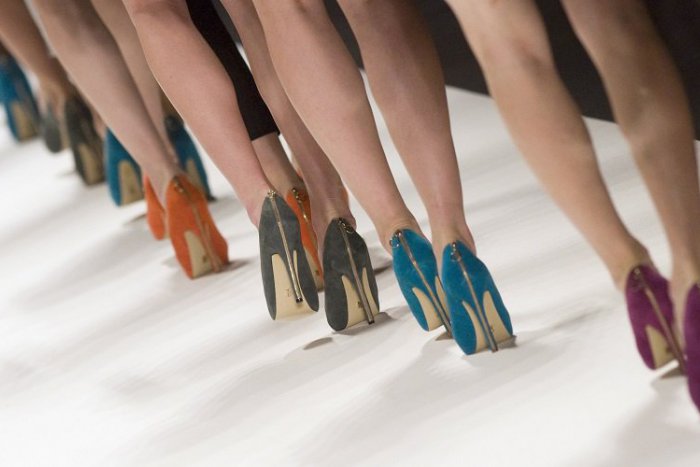 Ilustračný obrázok k článku Tipy na víkend: Nedeľa bude patriť móde a exotickým zvieratám