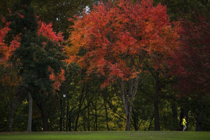 Ilustračný obrázok k článku Volebný víkend prežite pokojne: Trebárs aj na blšáku, či pri lampášoch