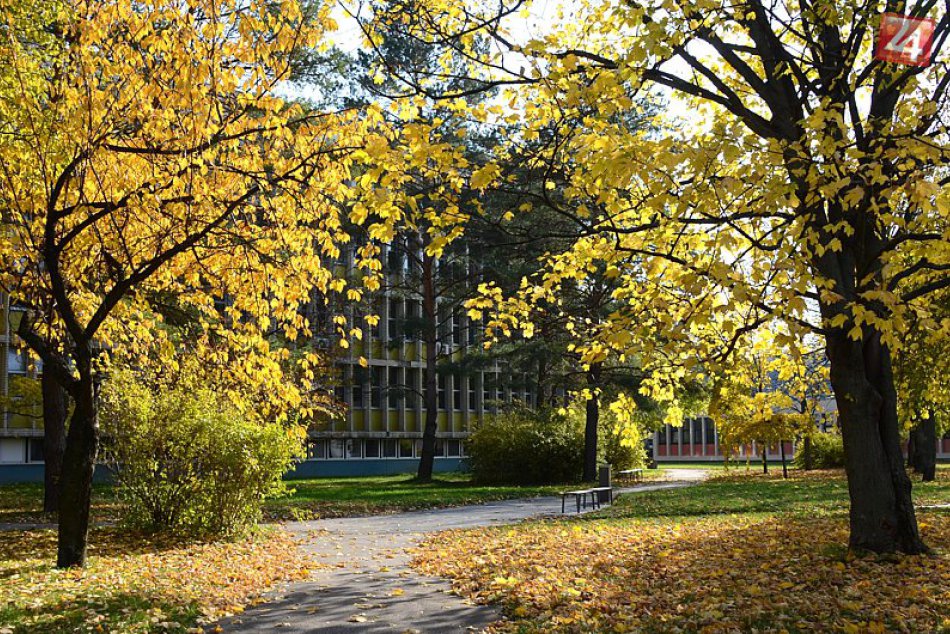 Ilustračný obrázok k článku SPU v Nitre ukončila revitalizáciu átria: V oddychovej časti vymenili mobiliár