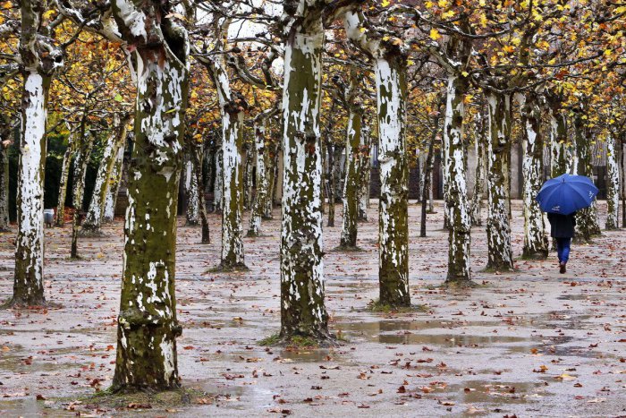 Ilustračný obrázok k článku Zimu vystrieda ďalšie oteplenie: Teploty začnú opäť stúpať až na 10 stupňov