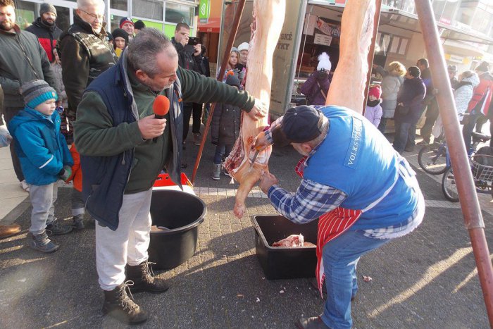 Ilustračný obrázok k článku "Mäsožravci," tešte sa! V Petržalke chystajú zabíjačku