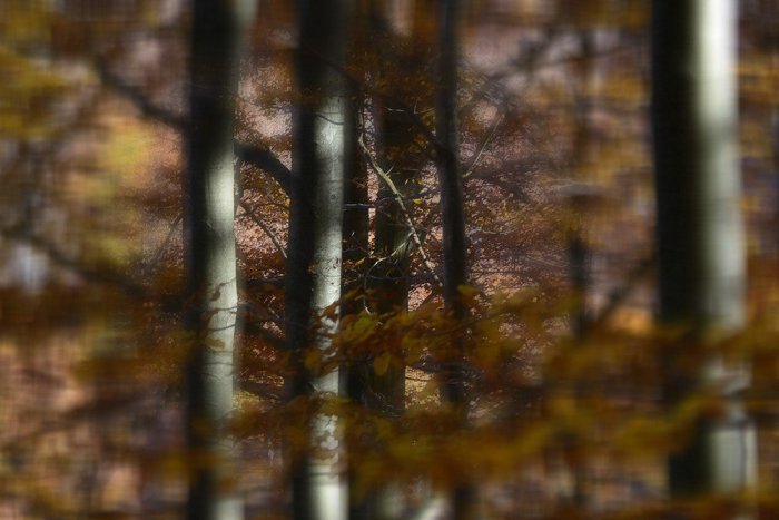 Ilustračný obrázok k článku Vo Vihorlatských vrchoch vznikol nový turistický chodník: Láka neobjavenými kútmi Zemplína!