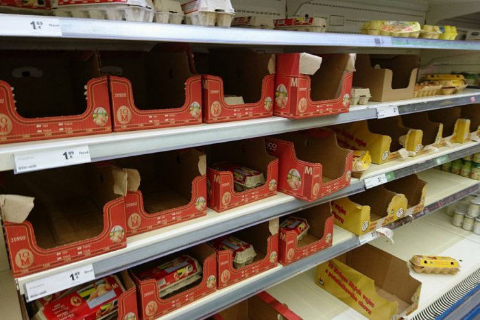 Ilustračný obrázok k článku Prečo sú regály na vajíčka v niektorých obchodoch prázdne?