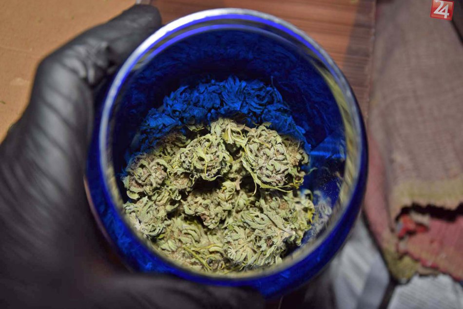 Ilustračný obrázok k článku Policajti zaistili konope a vyše 1200 tabliet extázy: Bratislavčan skončil v cele