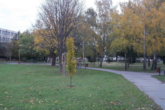 Ilustračný obrázok k článku Čaká nás víkend: Využite ho podľa svojich predstáv