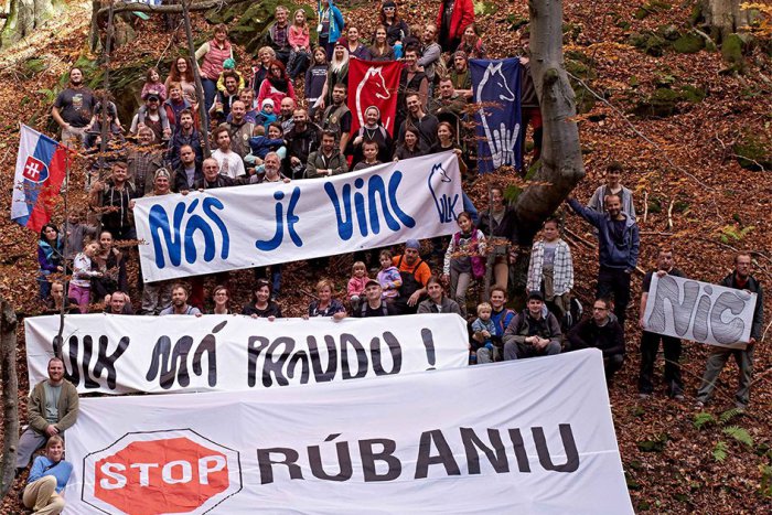 Ilustračný obrázok k článku Ochranári zablokovali ťažbu, tisíce ľudí chcú zachrániť Čergov