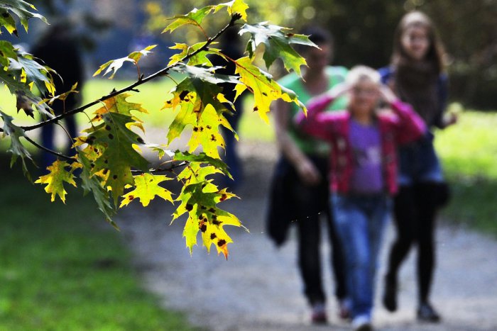 Ilustračný obrázok k článku Užite si nový týždeň naplno: Kam si môžete v Považskej Bystrici vyraziť?