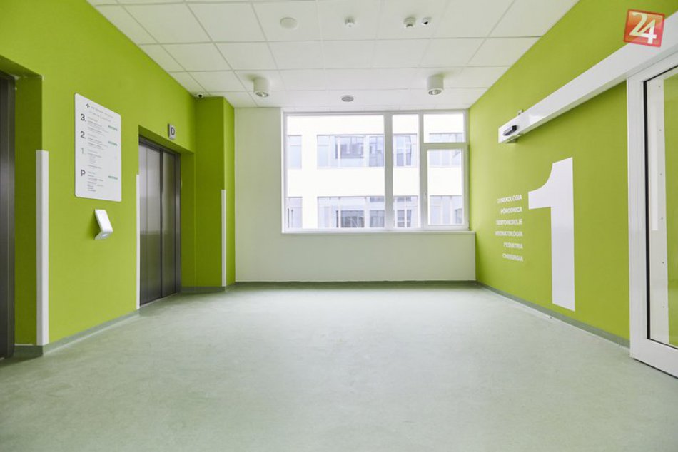 Ilustračný obrázok k článku Pre osýpky vyhlásili v okrese Michalovce mimoriadnu situáciu!