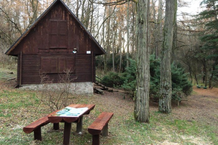 Ilustračný obrázok k článku Neďaleké arborétum čaká veľká obnova: Bonusom bude filmový dokument