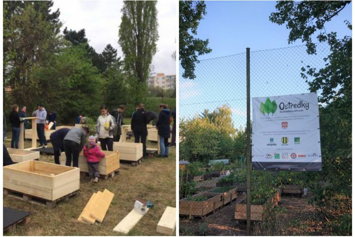 Ilustračný obrázok k článku Komunitná záhrada Ostredky má za sebou úspešnú prvú sezónu. Čo chystajú na budúci rok?