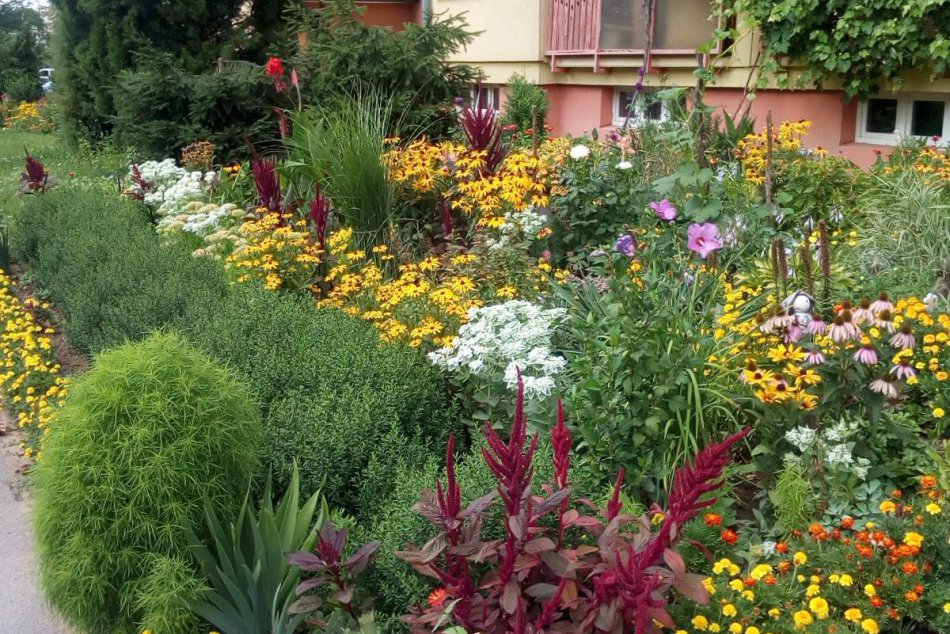 Ilustračný obrázok k článku Prinášame vám ich na FOTKÁCH: Toto sú najkrajšie predzáhradky Prešova