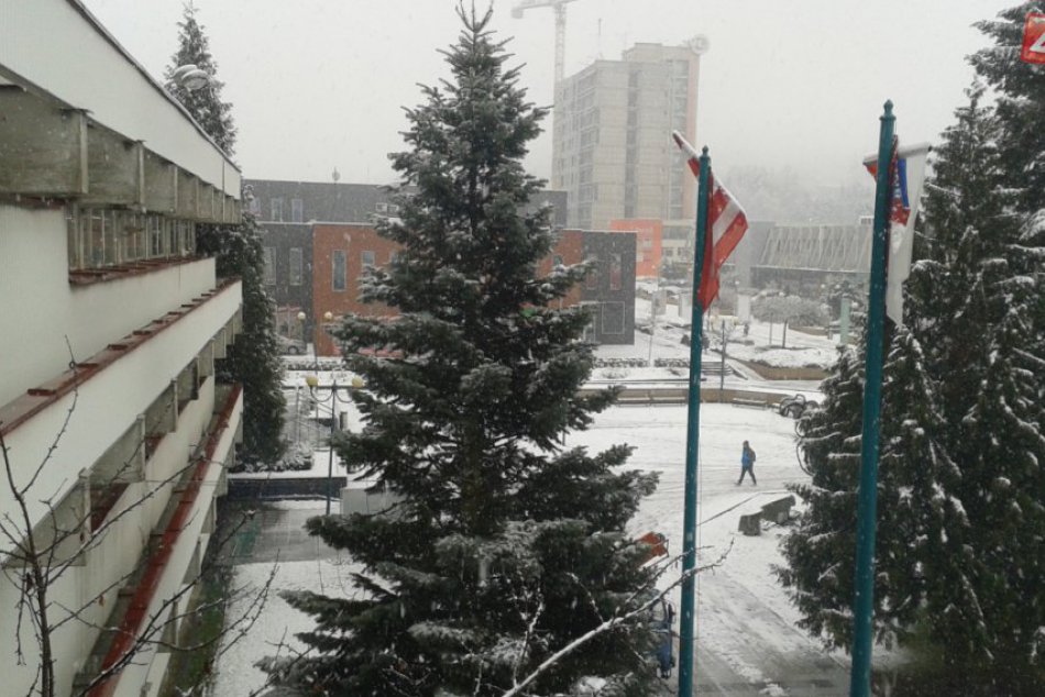 Ilustračný obrázok k článku V Považskej už stojí vianočný stromček: Čím je výnimočný? FOTO a VIDEO