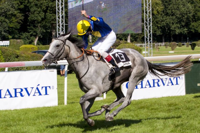 Ilustračný obrázok k článku Dostihová sezóna je minulosťou: Ocenia tých najlepších z najlepších