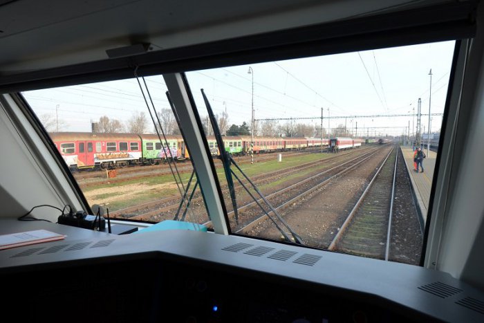 Ilustračný obrázok k článku Mravce budú premávať aj cez Brezno, nebude im chýbať ani pripojenie na internet