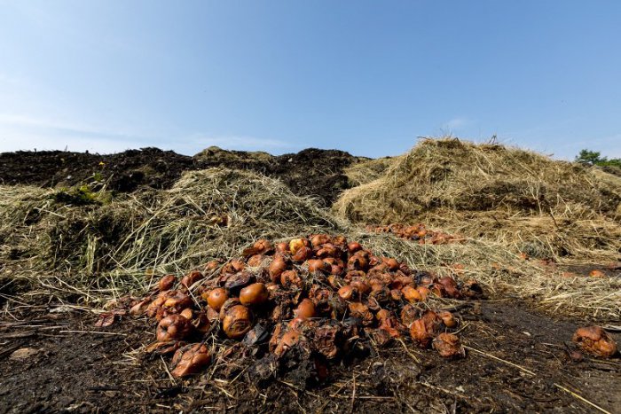 Ilustračný obrázok k článku Najmenej rozvinuté okresy môžu získať podporu na triedený zber. Aký má plán Lučenec?