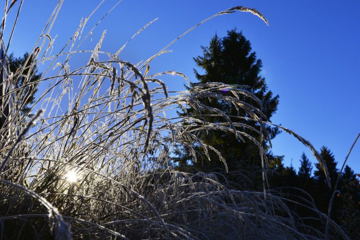 Ilustračný obrázok k článku RANNÁ ŠTVORKA: Pripomíname si Medzinárodný deň hôr, oslavuje Hilda