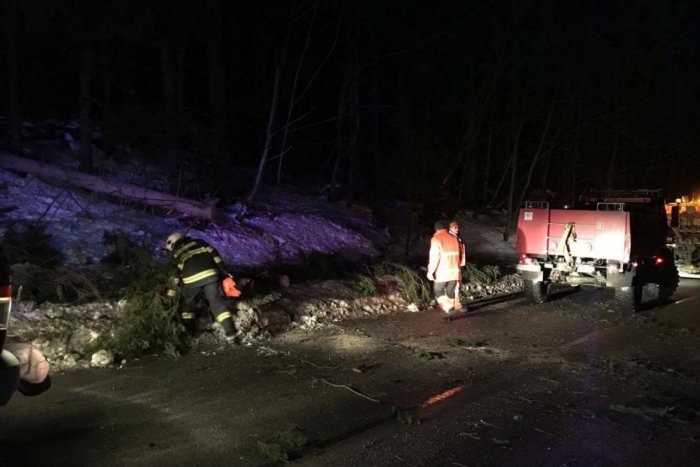 Ilustračný obrázok k článku Silný vietor vyvracal pod Tatrami stromy: Cesty sú mokré a prejazdné