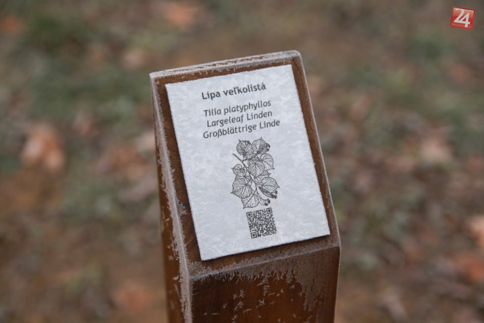 Ilustračný obrázok k článku V Malackách pribudli nové orientačné smerovníky a arborétum