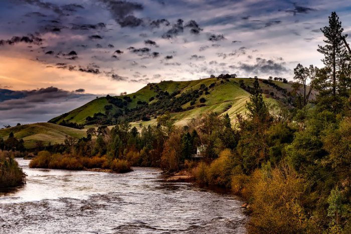 Ilustračný obrázok k článku Fico odmietol iniciatívu za záchranu lesov