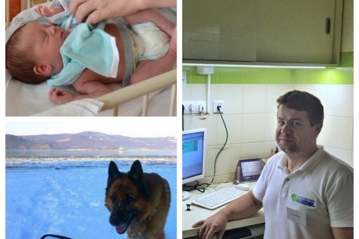 Ilustračný obrázok k článku Pozrite si ich aj vy: Toto sú najčítanejšie články celého týždňa