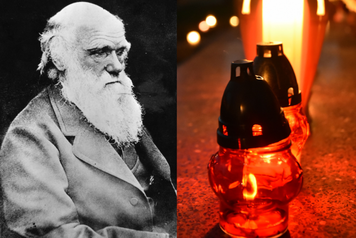 Ilustračný obrázok k článku Svet spoznal víťazov Darwinovej ceny: TOTO sú tie najhlúpejšie úmrtia za rok 2017