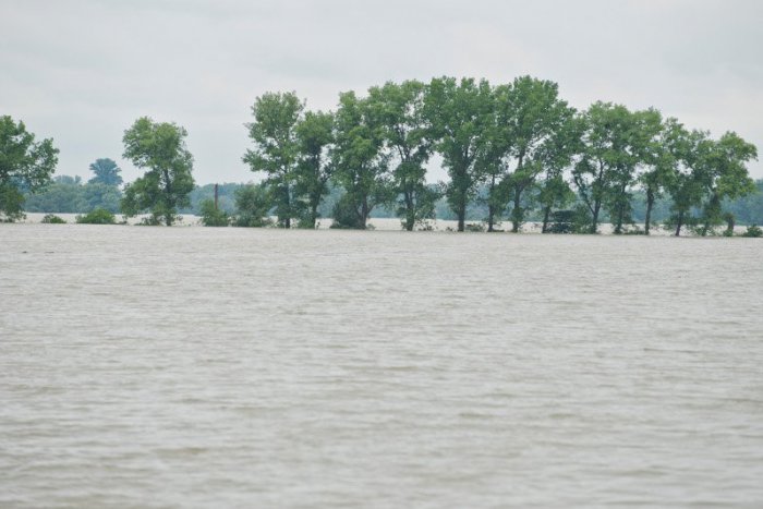 Ilustračný obrázok k článku Na jazere pri Bratislave uviazlo 14 havkáčov: Na pomoc prišli hasiči, polícia pátra po žene (45)