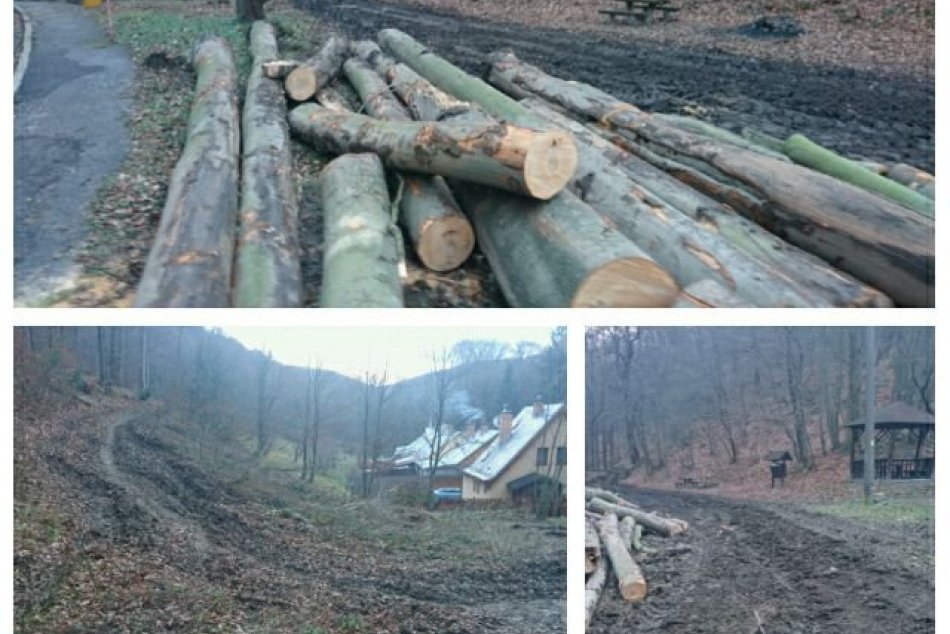 Ilustračný obrázok k článku Kontroverzný šéf Lesov SR dostal okamžitého padáka