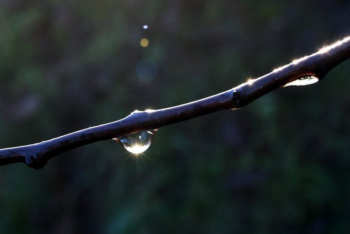 Ilustračný obrázok k článku RANNÁ ŠTVORKA: Vo štvrtok bude chladnejšie a môže pršať, meniny má Malvína