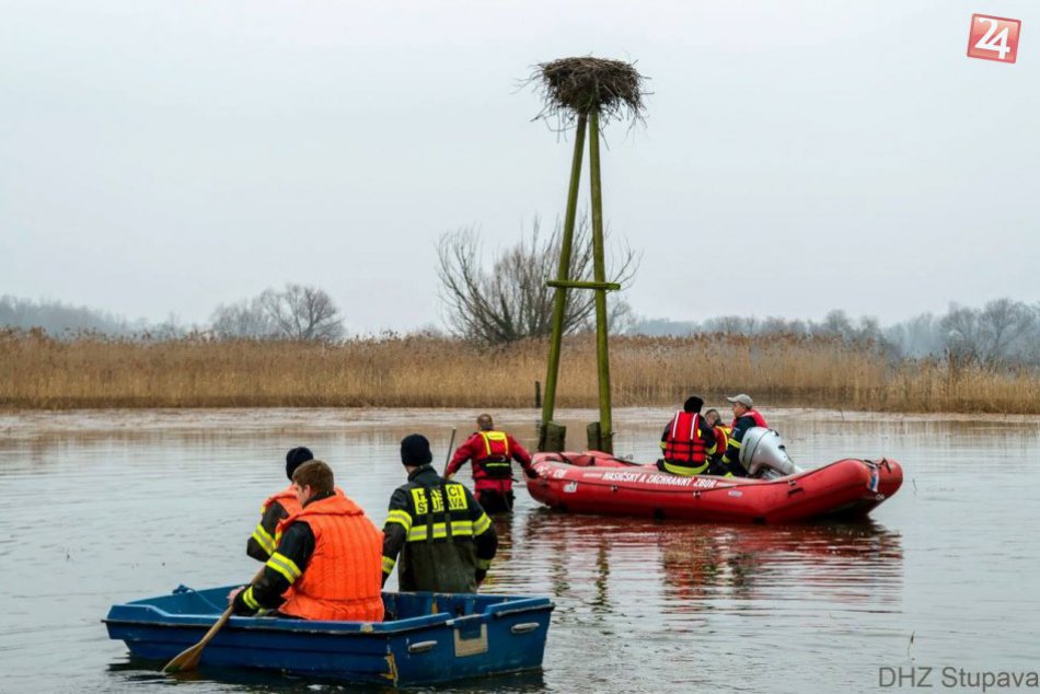 Ilustračný obrázok k článku Polícia pátra po žene, ktorá mala venčiť psov v okolí Devínskeho jazera