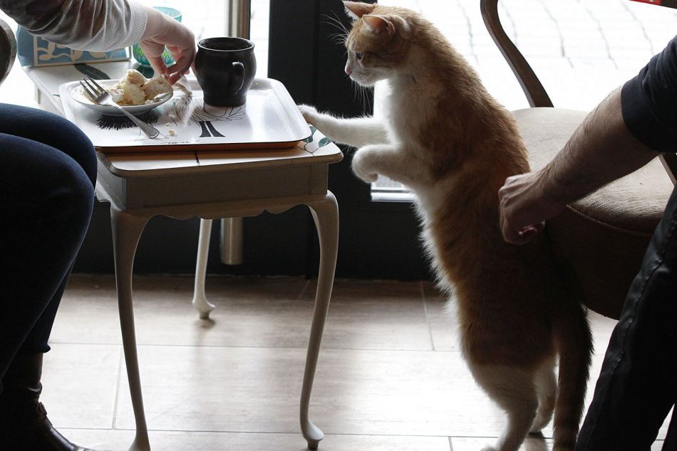 Ilustračný obrázok k článku Prežite víkend zaujímavo: Prinášame vám tipy, čo môžete zažiť v Košiciach