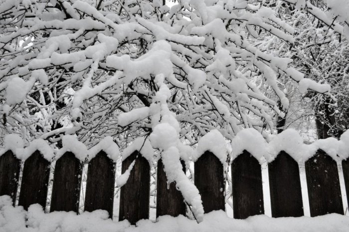 Ilustračný obrázok k článku Ničivá svätokrížska zima spred 64 rokov: Poznáte tento drsný príbeh?