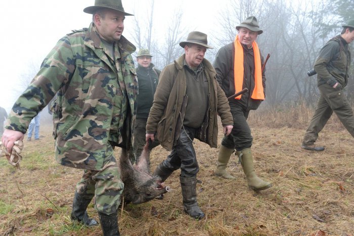 Ilustračný obrázok k článku Mäso z diviny aj vlastné vína. V Bystrici otvorili unikátnu predajňu s lesníckymi pochúťkami