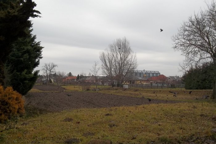 Ilustračný obrázok k článku Obec Močenok pripomína povinnosť: Nezabudnite nahlásiť dôležité údaje