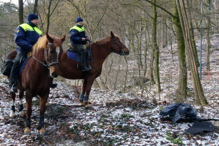 Ilustračný obrázok k článku Mestskí policajti objavili minulý rok v bratislavskom lesoparku viac ako 100 skládok