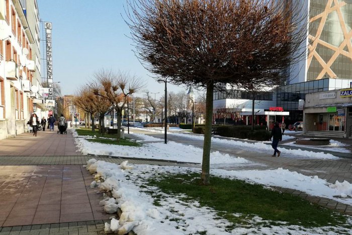 Ilustračný obrázok k článku Kto by to bol povedal: Aj na takéto nevšedné plemená psov môžete v Michalovciach natrafiť!