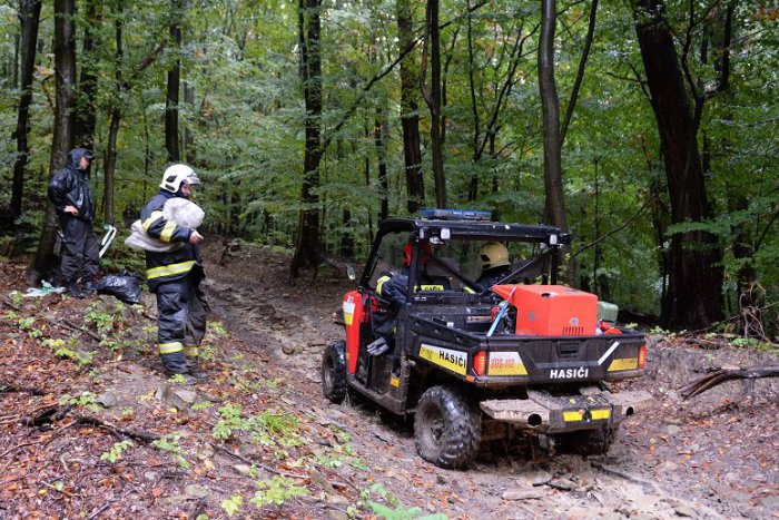 Ilustračný obrázok k článku Pri obci Ráztoka na pilčíka spadol strom, muž má otvorenú zlomeninu nohy