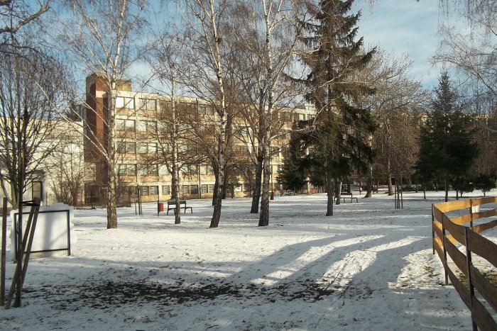 Ilustračný obrázok k článku Prichádza prvý februárový víkend: Potešte sa folklórom aj športom