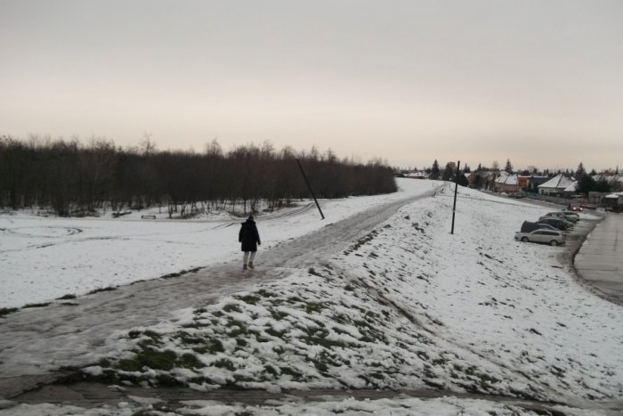 Ilustračný obrázok k článku S lesoparkom postupujú: Mesto Šaľa už je nájomcom pozemkov