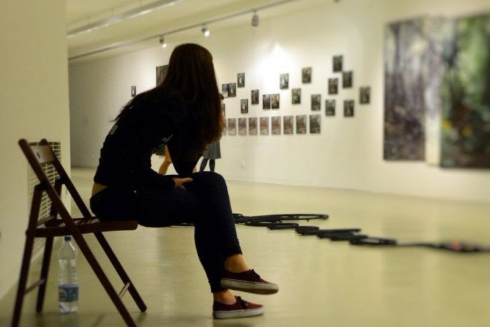 Ilustračný obrázok k článku Pôsobivá výstava Liptáčky Lucie: Diela, z ktorých sršia emócie