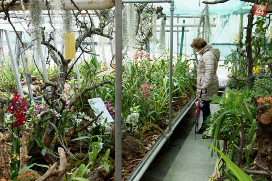 Ilustračný obrázok k článku Oddych počas voľných dní nezaškodí: Aké podujatia sú v pláne v Košiciach?