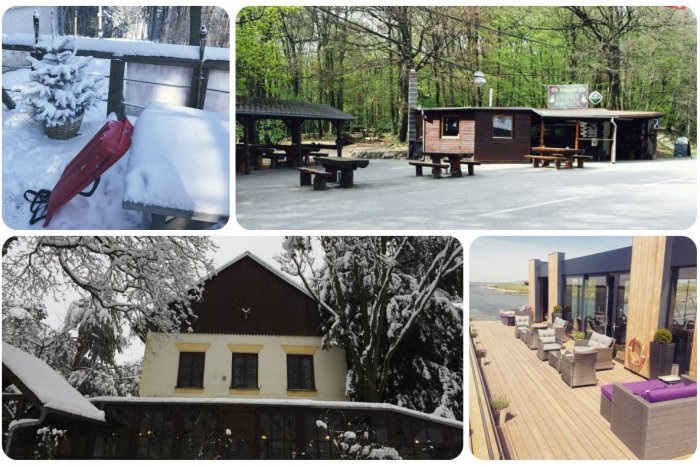 Ilustračný obrázok k článku TOP 5 posedení v prírode: Kde v Bratislave si môžete vychutnať jedlo spolu s vôňou lesa?