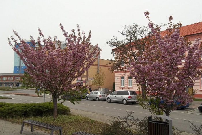 Ilustračný obrázok k článku ZUŠ vo Veči chcú zriadiť dvaja záujemcovia: Kto napokon získa priestory?