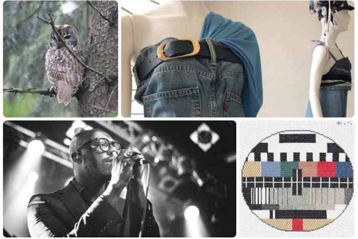 Ilustračný obrázok k článku TIPY NA VÍKEND: Skvelé koncerty, výprava za sovami aj nočná prehliadka Modry