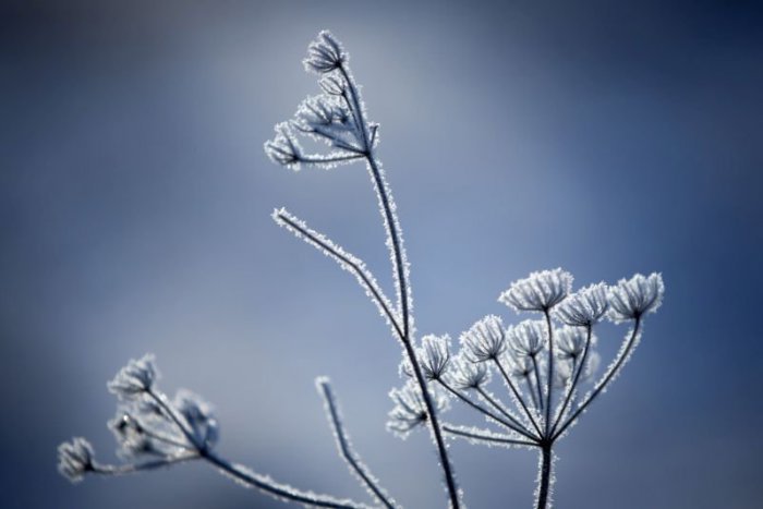 Ilustračný obrázok k článku Výstraha II. stupňa pre okres Ružomberok: Sledujte, ako až klesne teplota!