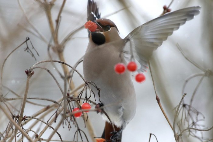 Ilustračný obrázok k článku RANNÁ ŠTVORKA: Víkend odštartuje s polooblačnou oblohou, meniny má Matej