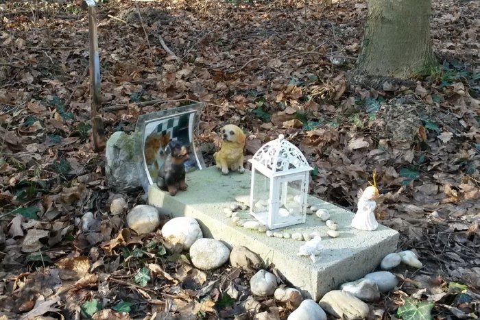 Ilustračný obrázok k článku V Petržalke by mohol onedlho vzniknúť zvierací cintorín