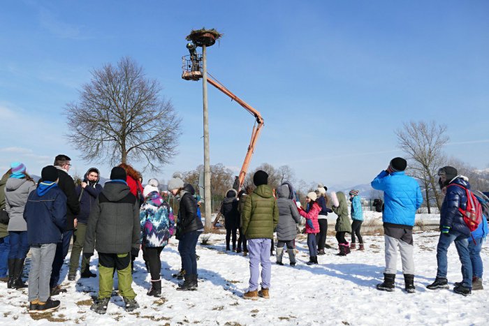 Ilustračný obrázok k článku V Mojši pribudlo nové hniezdo: Priláka konečne bociany? FOTO