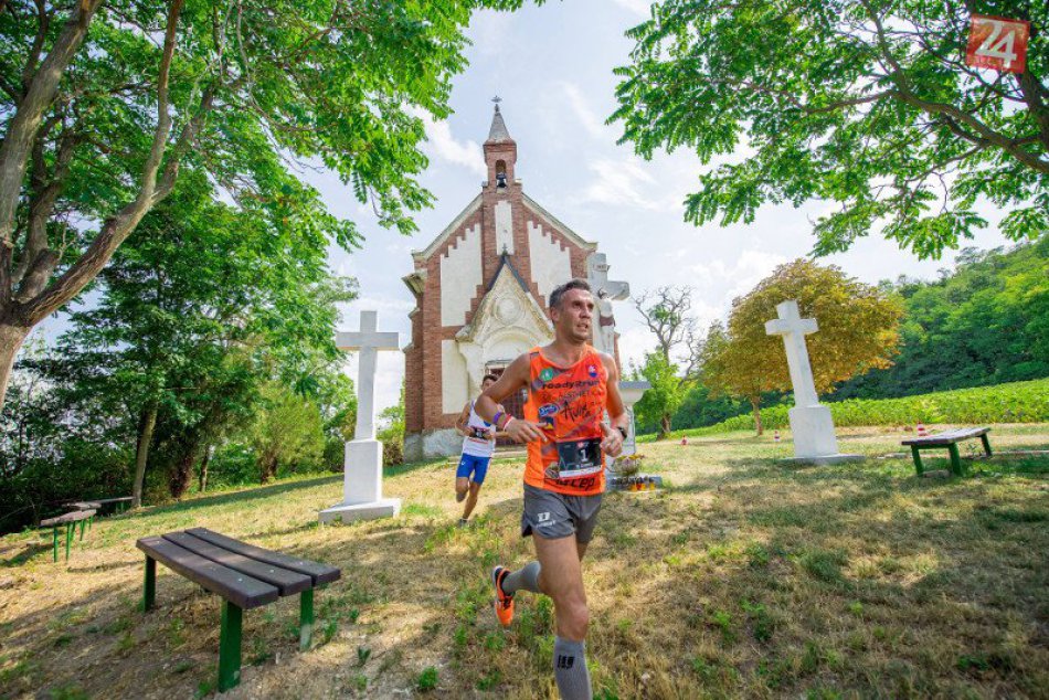 Ilustračný obrázok k článku Ako krásne spojiť dve záľuby dokopy? Odpoveď núka 2. ročník Strekov Wine Run