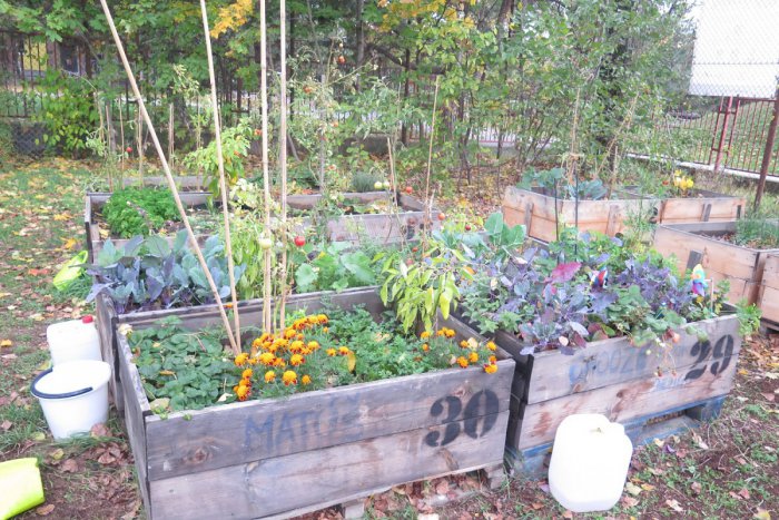 Ilustračný obrázok k článku Ružinov opäť podporí dobré nápady na zlepšenie komunitného života