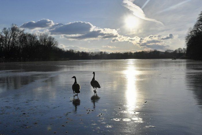 Ilustračný obrázok k článku RANNÁ ŠTVORKA: V utorok stúpne teplota na 6 °C, meniny má Rado a Radoslava